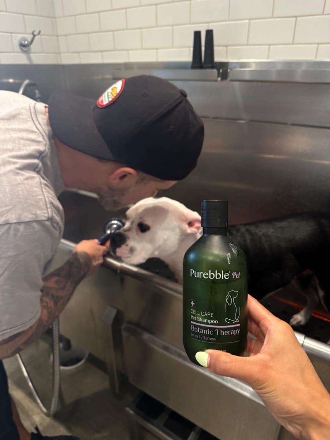 Customer photo review of Refresh Pet Botanic Therapy Shampoo