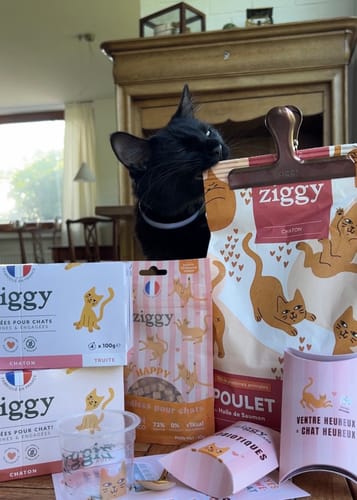 Photo d'un client montrant son chat noir curieux avec le contenu du Coffret Découverte Chaton sur une table.