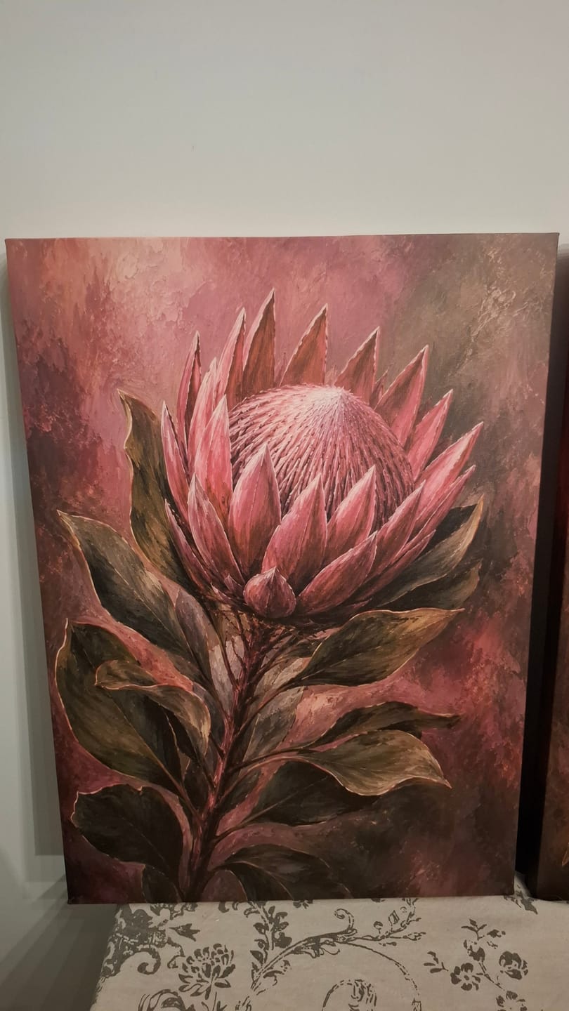 Customer photo review of 3 x A2 Canvas Combo