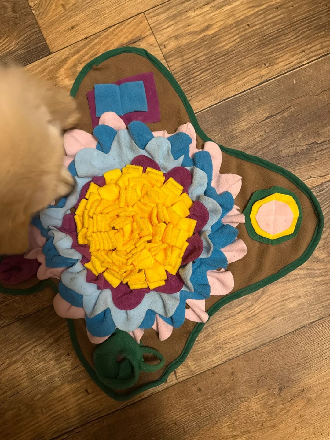 Customer photo review of TruePet Schnüffelmatte Hund | Nasenarbeit & Intelligenzspielzeug | Anti-Langeweile Futtermatte