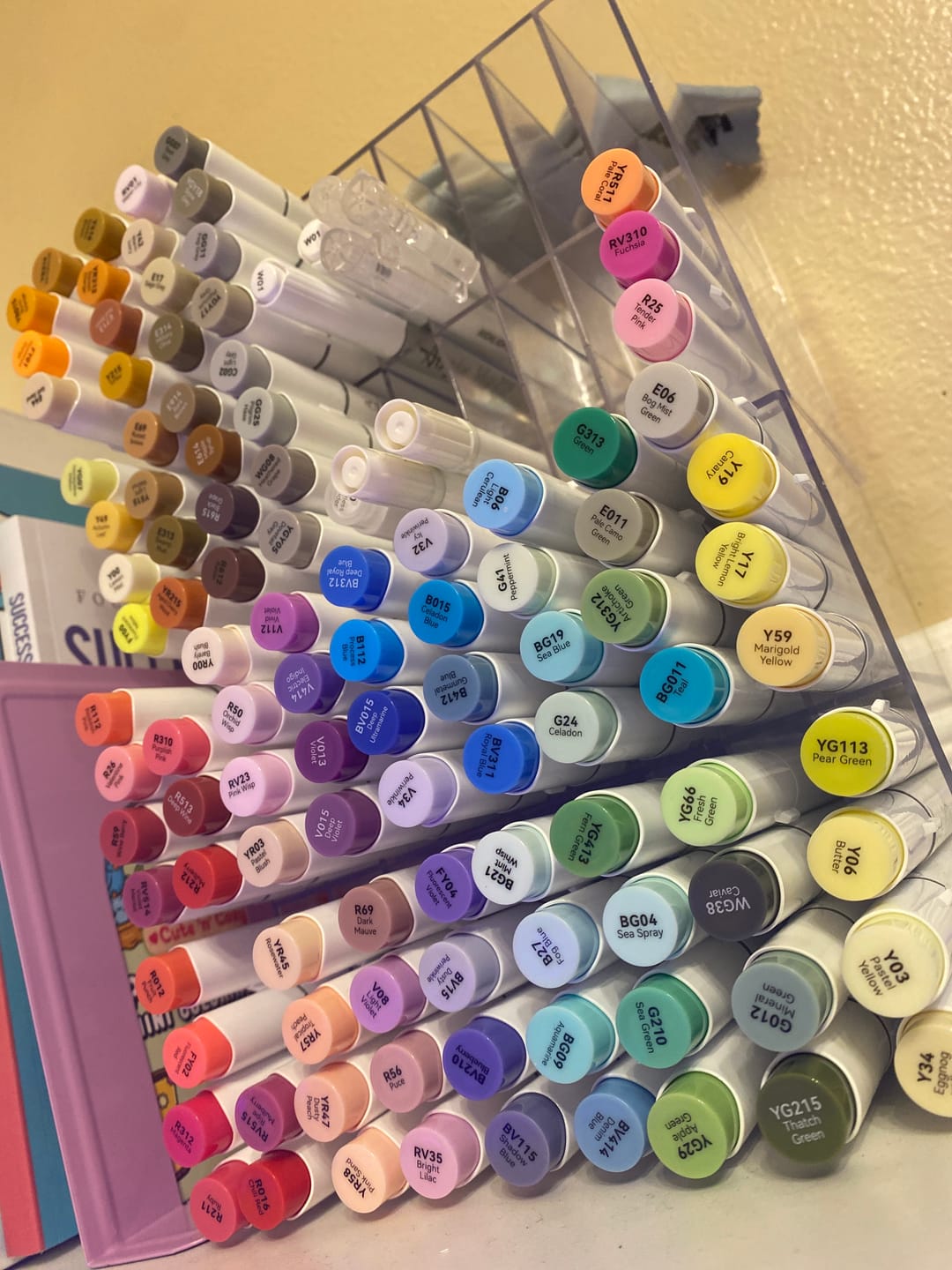 Customer photo review of Ohuhu Honolulu Brush Markers - Large Set
