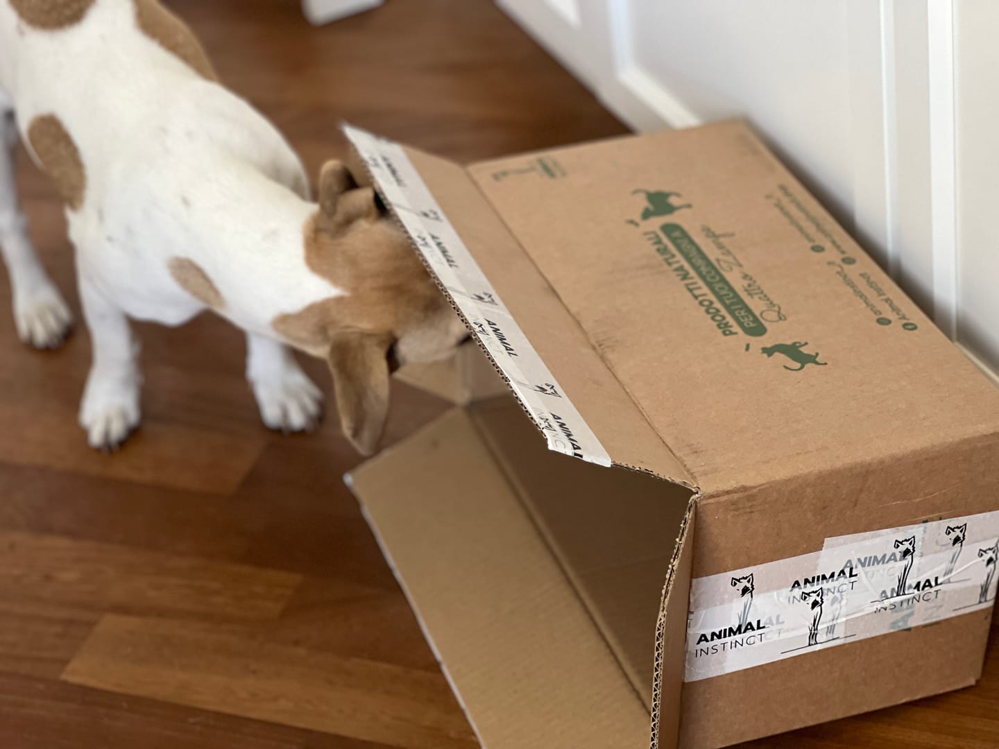 Customer photo review of Zampe di Gallina senza unghie (200 g)