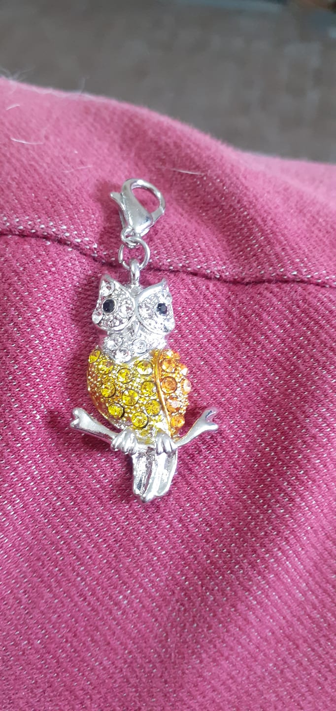 Customer photo review of Glass Locket Pendant Magnetic - Lover Owls Heart