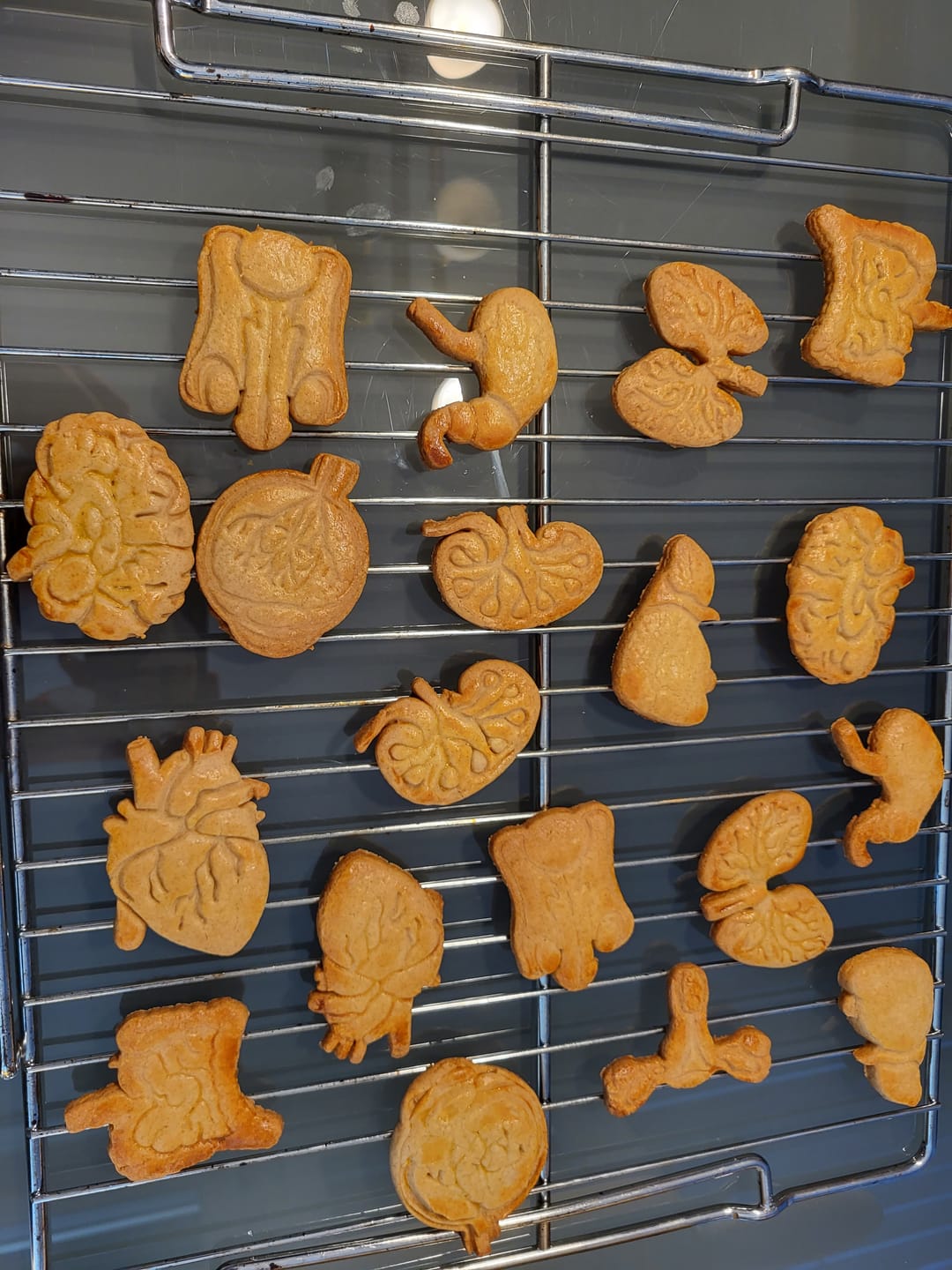 Customer photo review of Keksausstecher - Anatomie