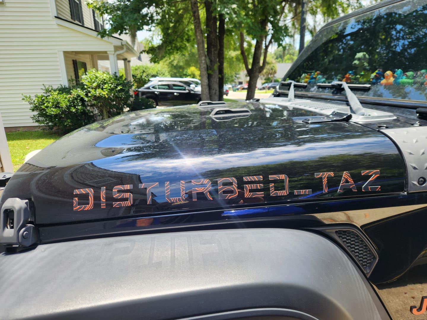 Customer photo review of Topographical Hood Lettering | Set of 2