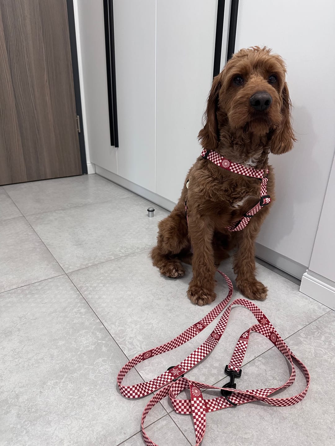 Customer photo review of Smycz przepinana "Cozy Plaid" - czarne okucia
