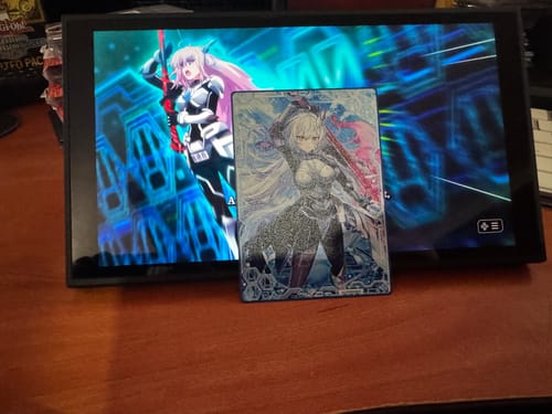 Customer photo review of Sky Strikers Zero - Metal Field Center
