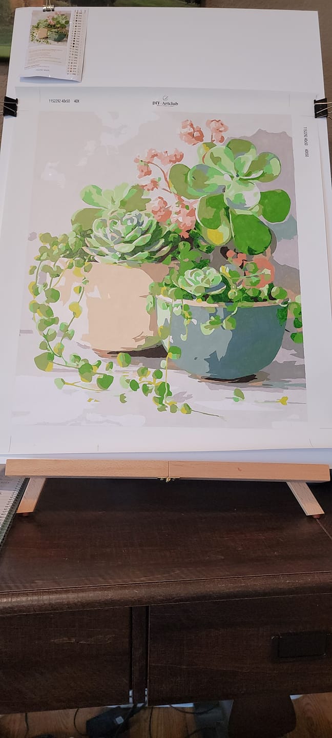 Customer photo review of Spring Succulents | Paint by Number