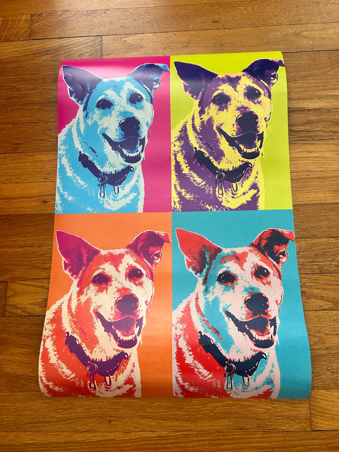 Customer photo review of Color Squares - Personalized Poster