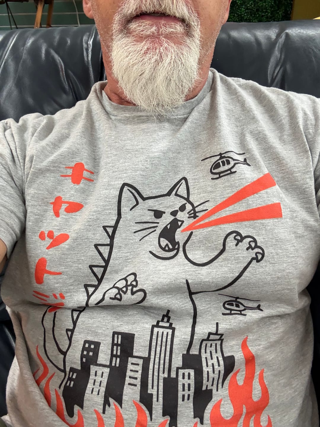 Customer photo review of Kyattojira Everyday Softstyle Tee