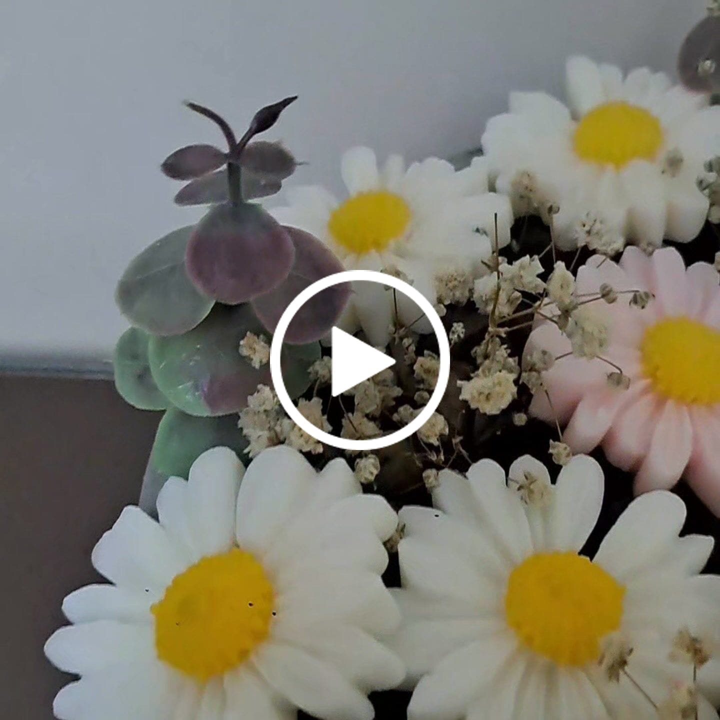 Customer video review of Fragancia DAMA DE LA GUADAÑA