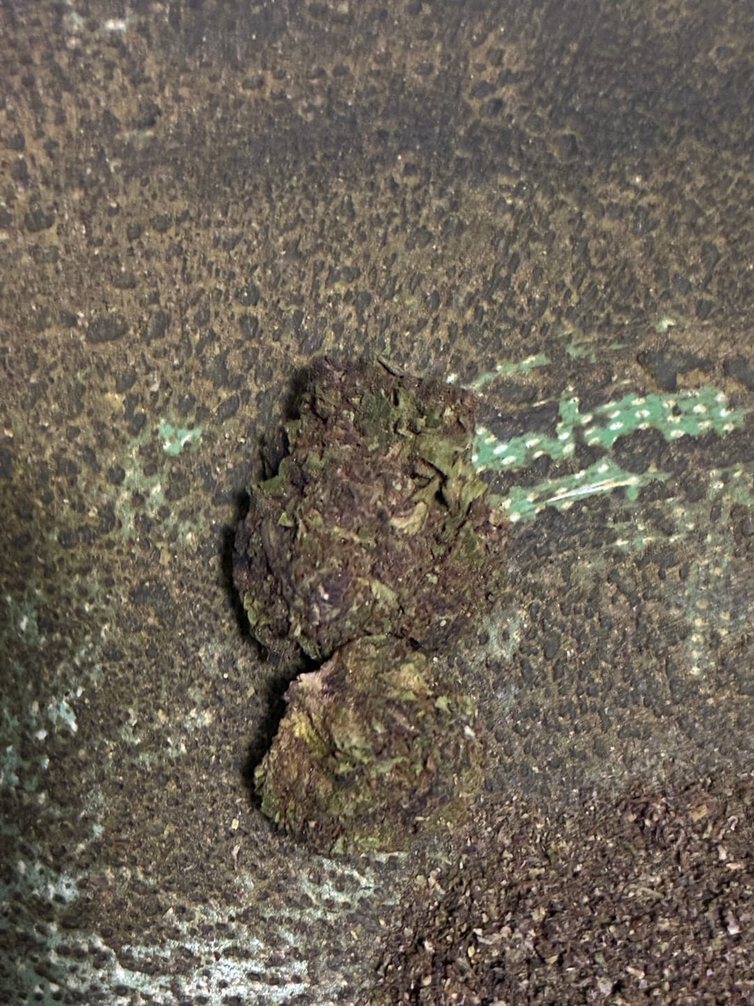 Customer photo review of Pop Cherry - 28 Grams - Sativa