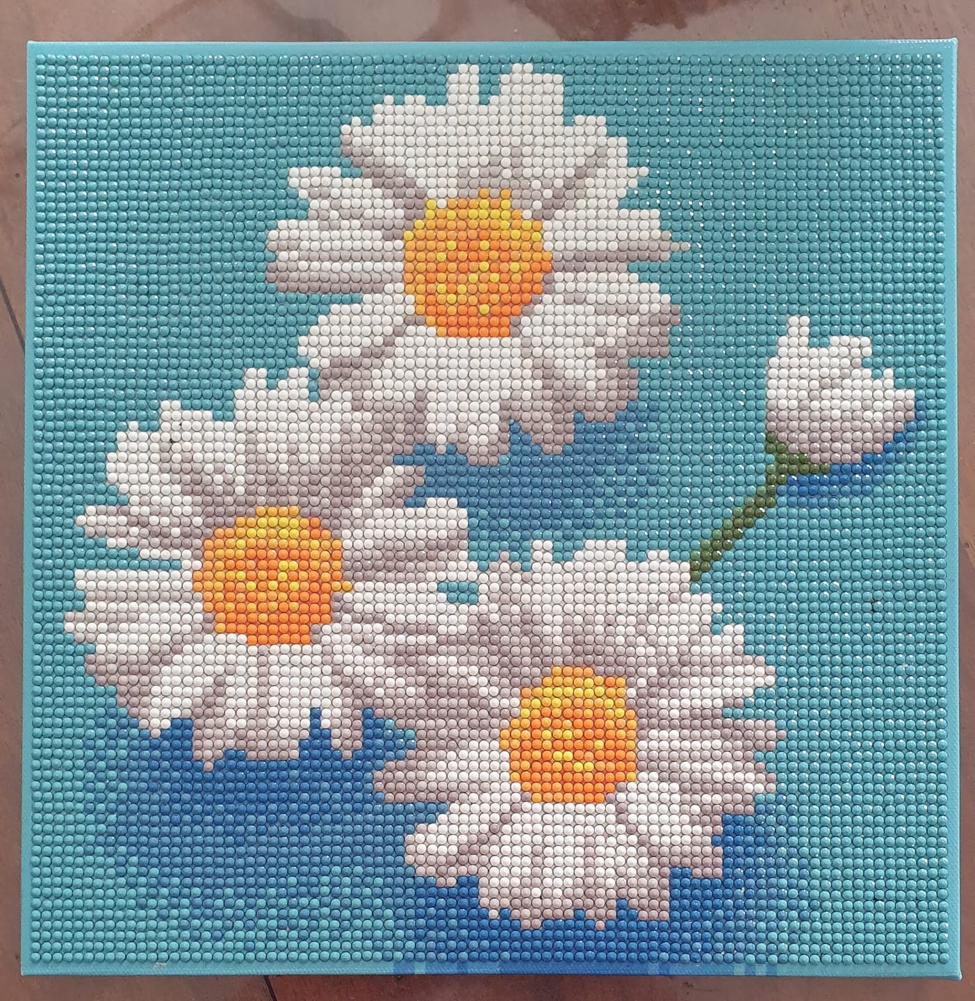 Customer photo review of Mini Diamond Painting 25x25cm - Jolies Marguerites Blanches