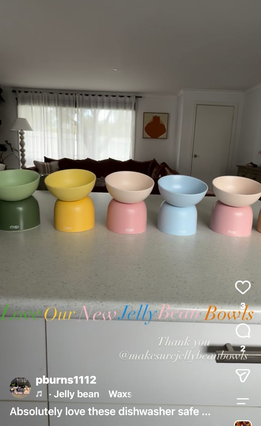 Customer photo review of Makesure Sugar Bean Ceramic Double Pet Bowls For Cat and Small Dogs
