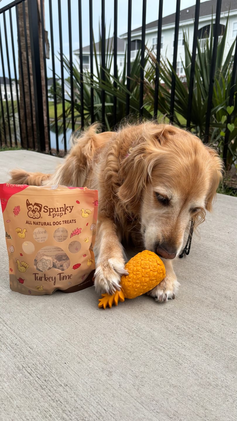 Customer photo review of Treat Holding Fruits and Veggies