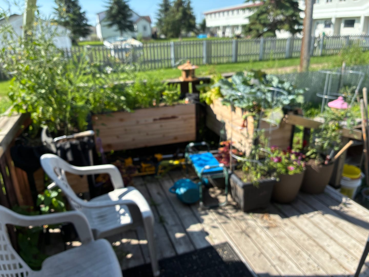 Customer photo review of 18" x 48" Raised Garden Bed - 30" TALL / Garden Grade