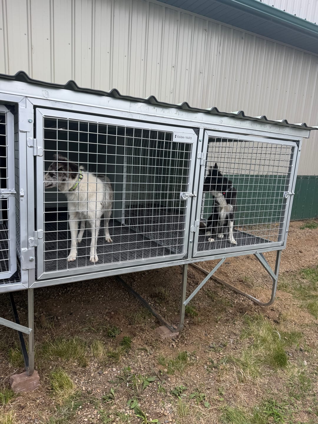 Customer photo review of Raised Safety Kennel