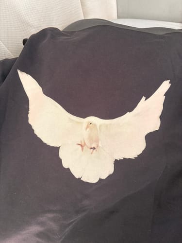 Customer photo review of Yeezy Gap Engineered by Balenciaga Dove Hoodie