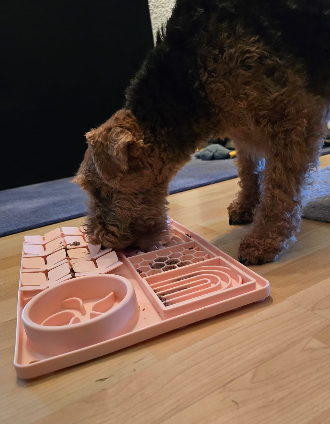 Customer photo review of XL Schleckmatte – Langanhaltender Futterspaß & Stressabbau für Hunde