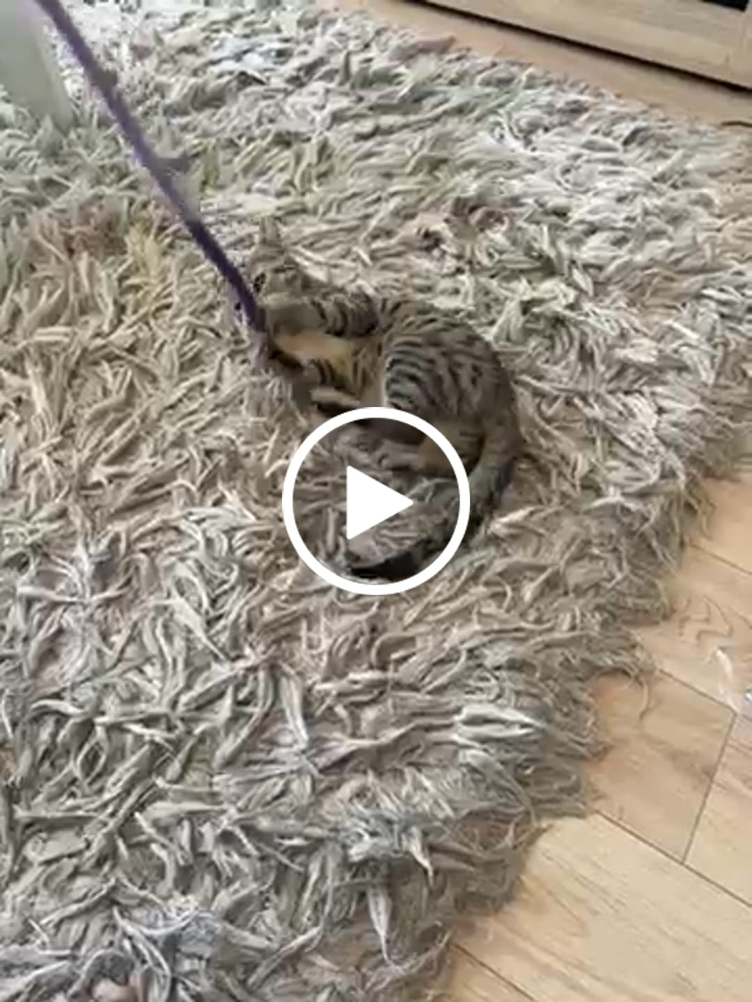 Customer video review of Konopci za Žvakanje za Mačke (Set od 3 Komada)