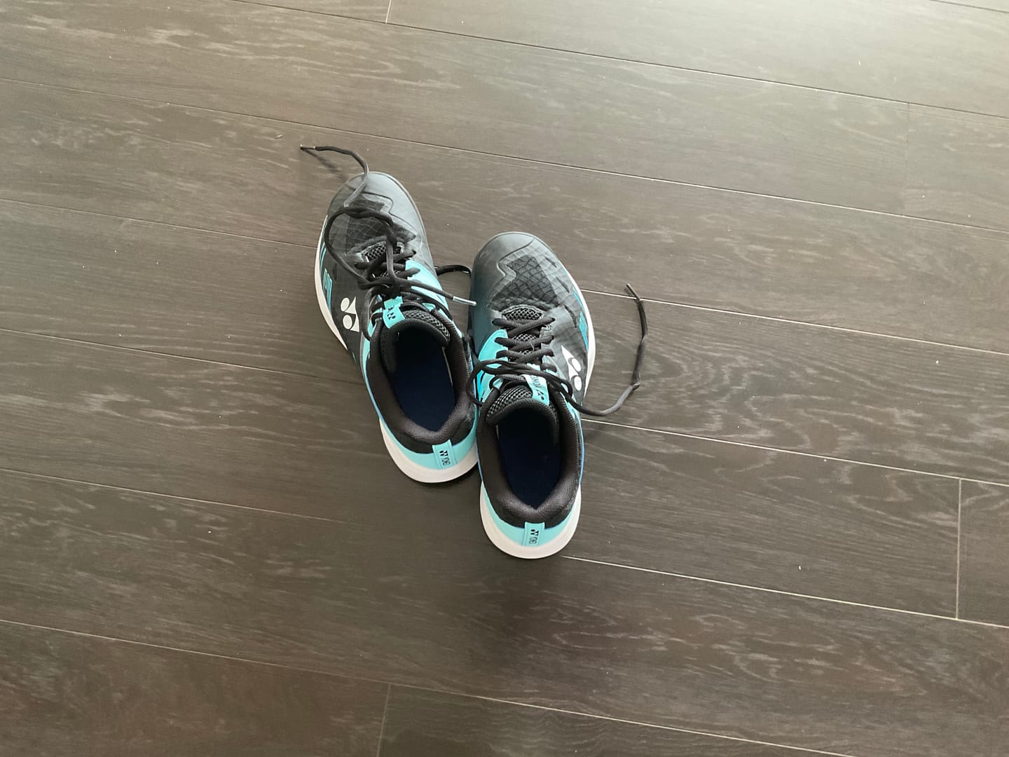 Customer photo review of Yonex Power Cushion CASCADE ACCEL Wide Unisex