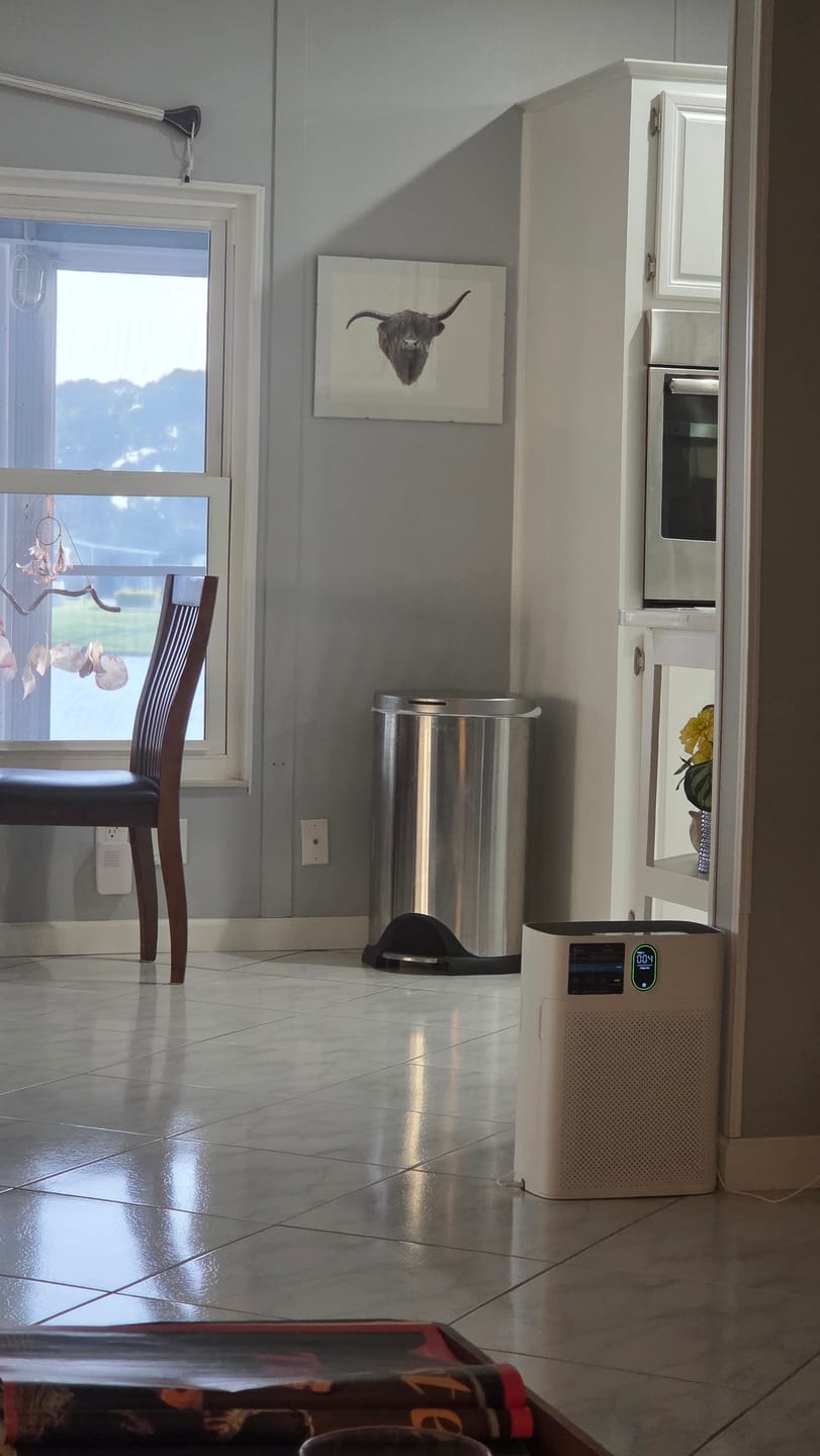 Customer photo review of Smart Air Purifier V1 Pro – Powerful HEPA Filtration with PM2.5 Sensor, App & Voice Control for Clean Indoor Air