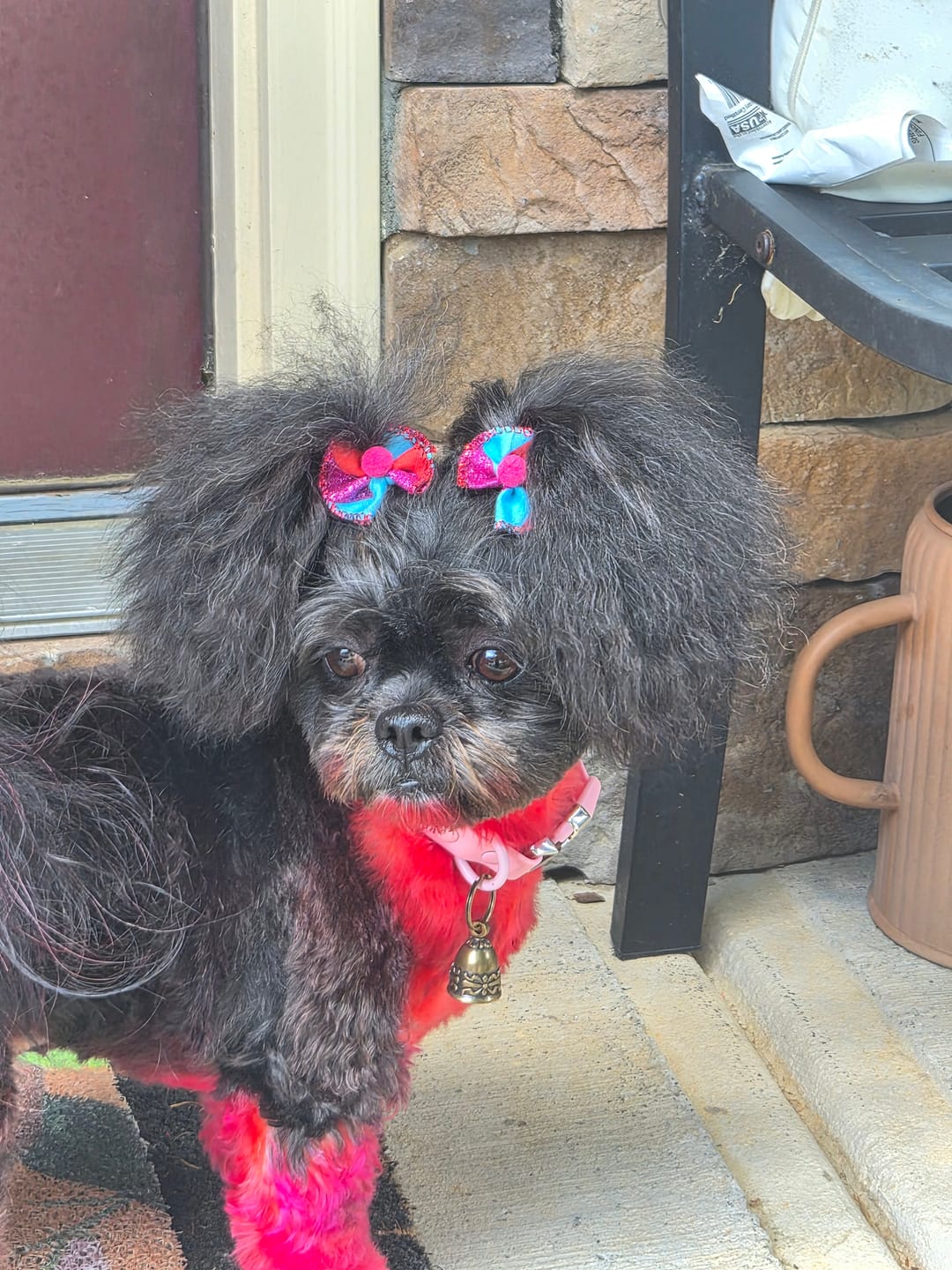 Customer photo review of Stick a Day Dogs | Chicken Flavor | Specially Formulated 7-in-1 Functions Daily Real Meat Snacks for Dogs | Healthy Tasty Treat & Pet Vitamins & Supplements Combination (Pack of 28 Sticks)