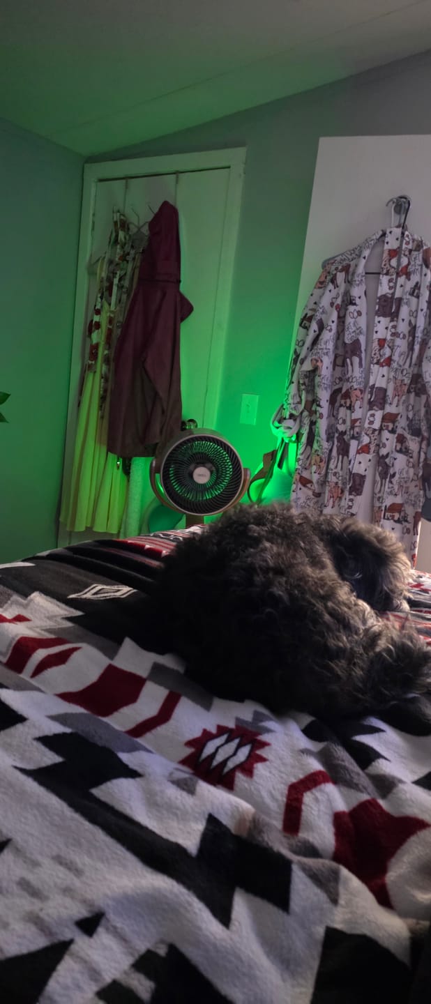 Customer photo review of TurboPoly™ Fan 508S