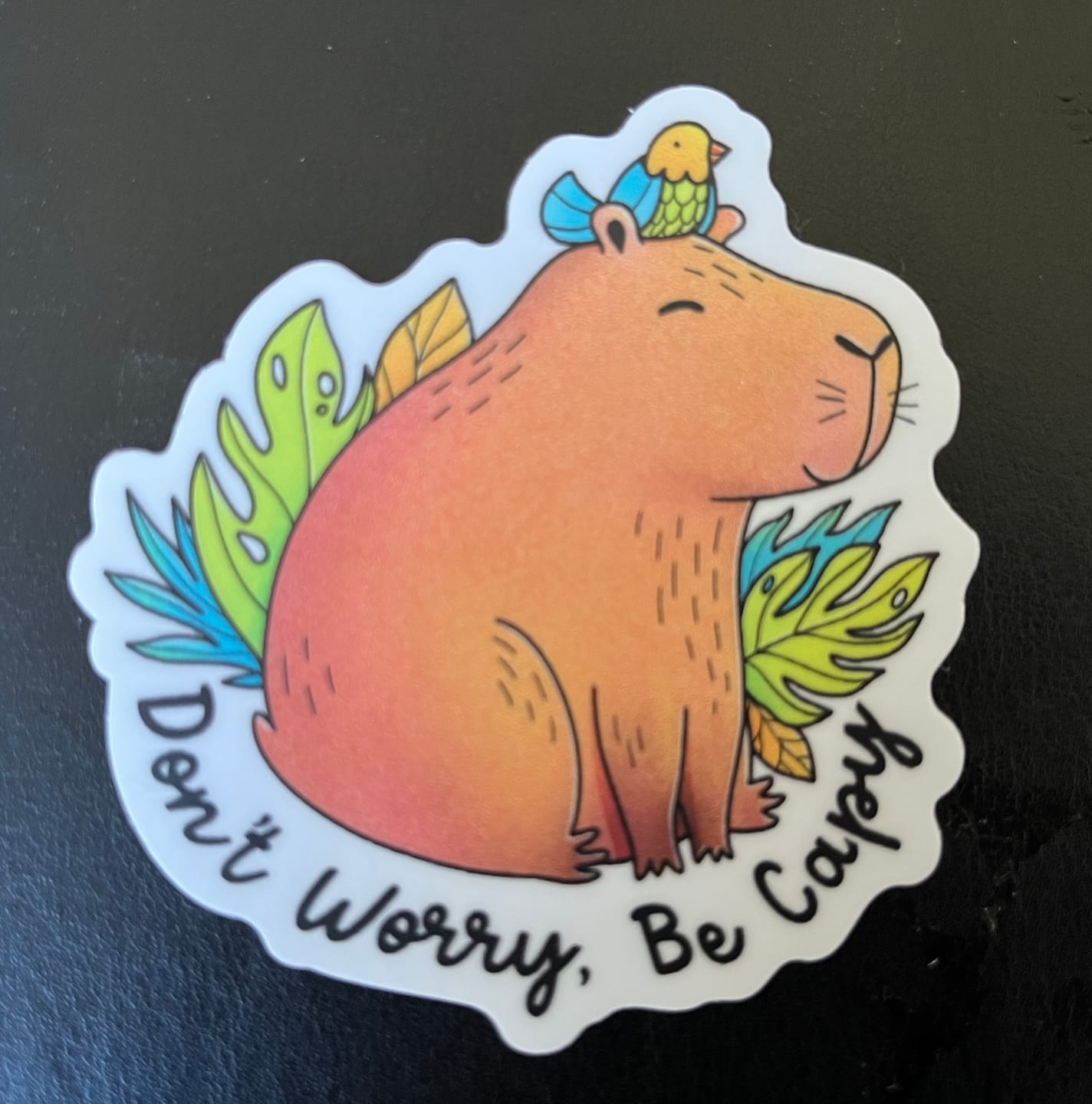 Customer photo review of Never Forget How Wildly Capable You Are Lettering - Positivity Sticker