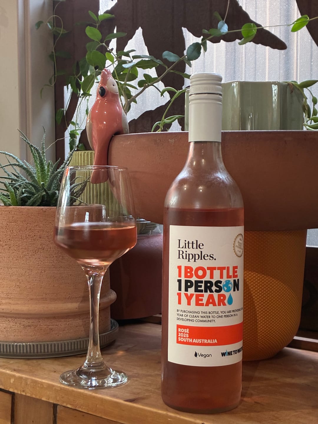 Customer photo review of Rosé - 6pk