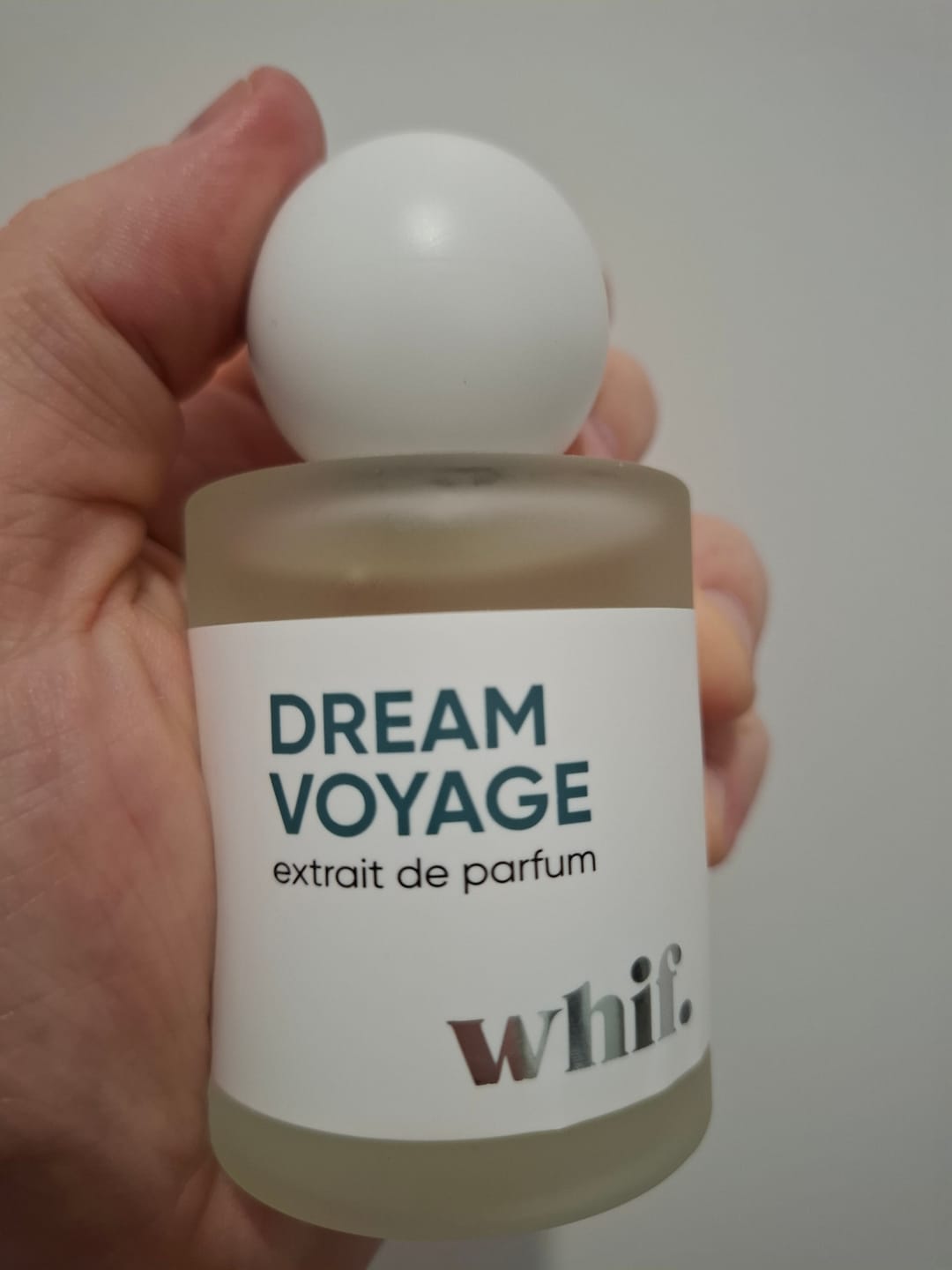 Customer photo review of Dream Voyage