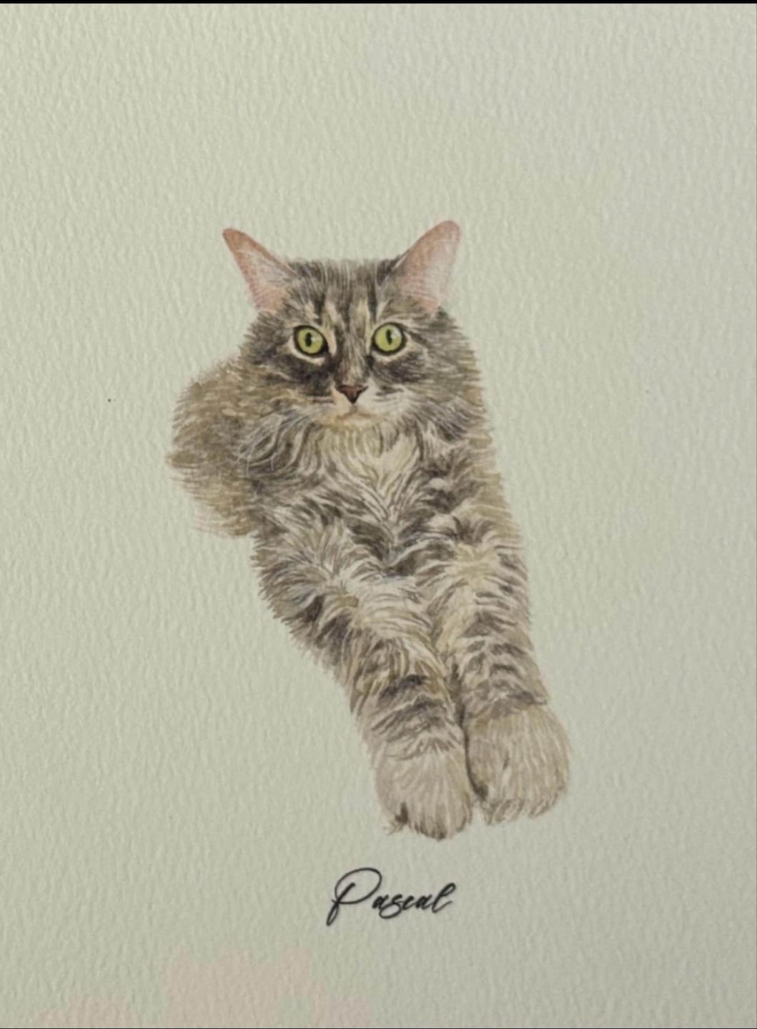 Customer photo review of Custom Watercolor Cat Portrait Canvas