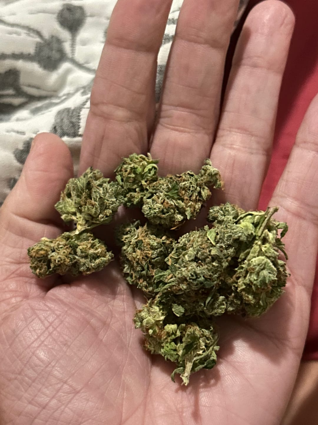 Customer photo review of OG Kush THCA Flower (Budget)