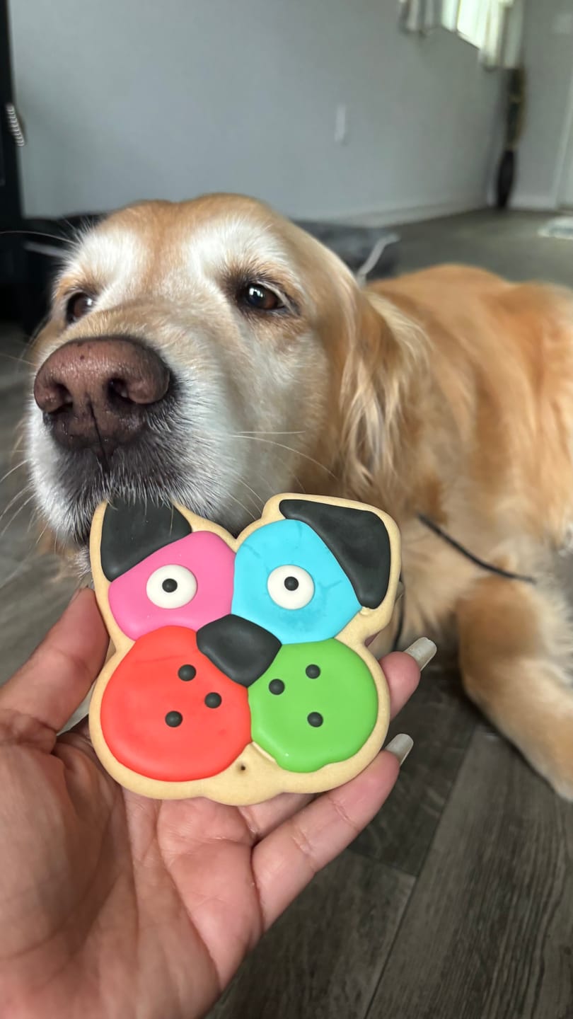 Customer photo review of Frosted Cookies for Dogs