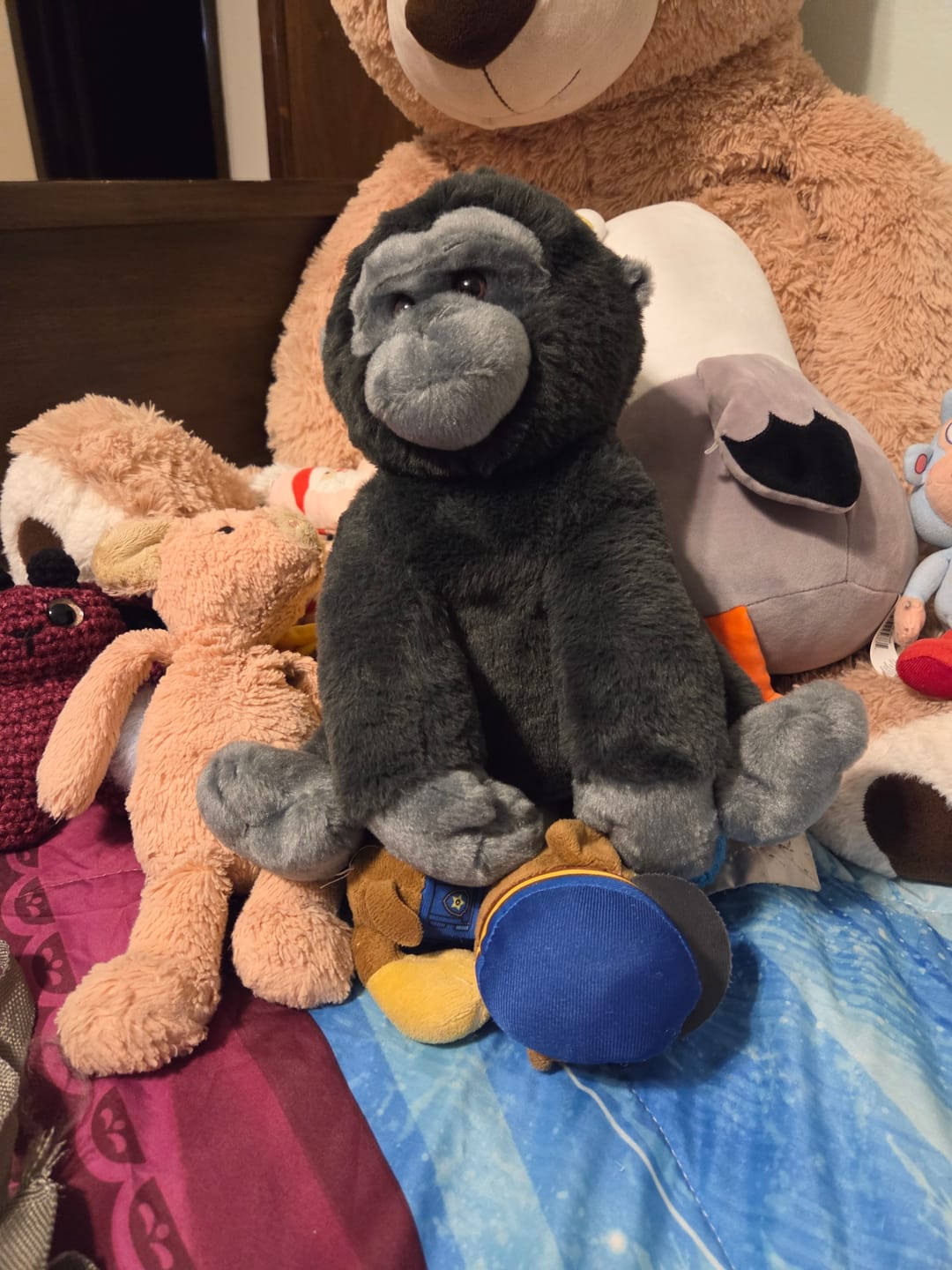 Customer photo review of The Traverse Plush