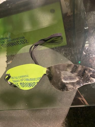 Customer photo review of YZY SHADES