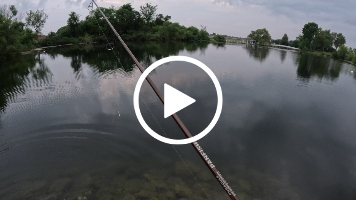 Customer video review of Purple Thunder Milk Chart Tail