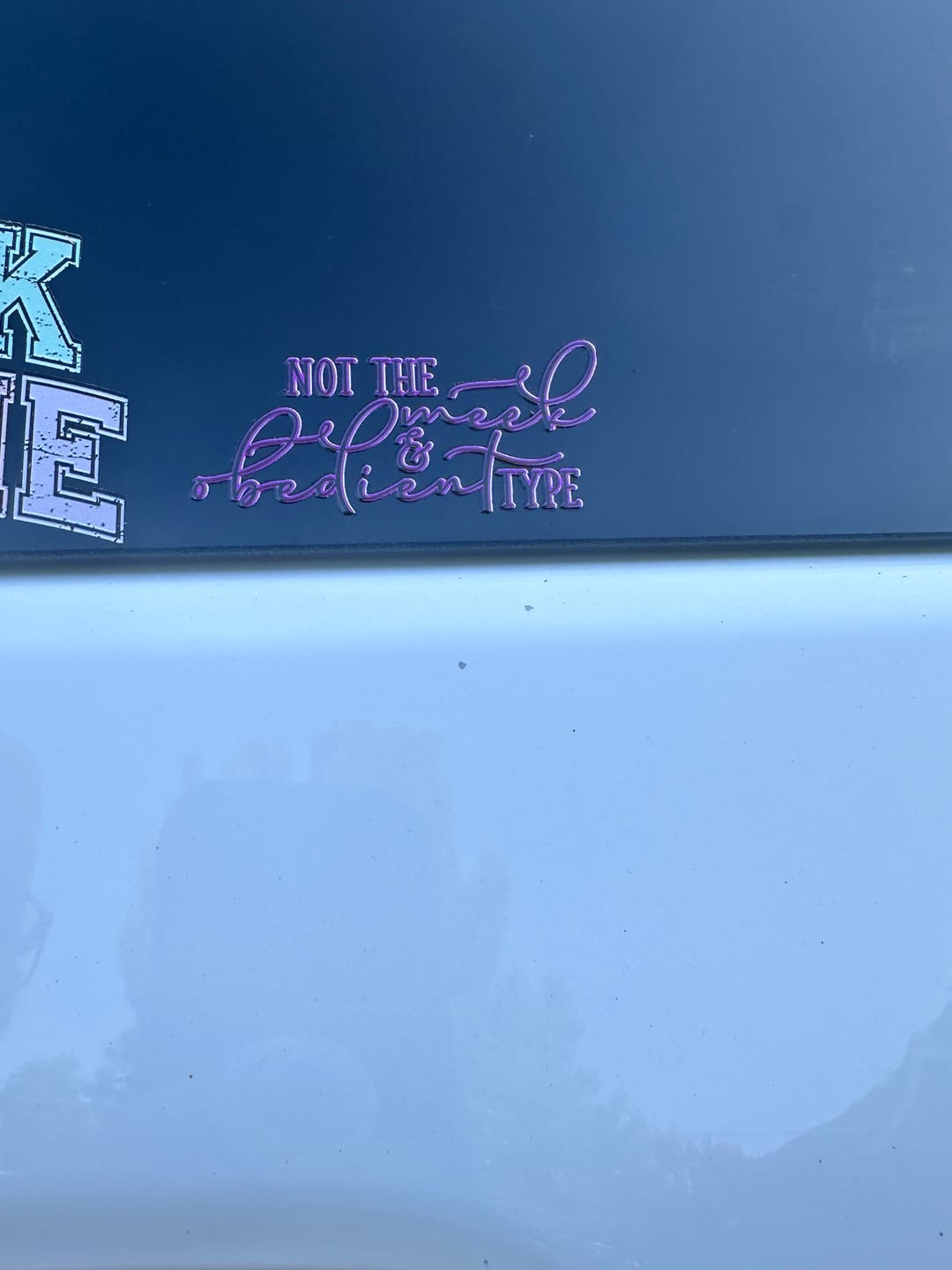 Customer photo review of UV Sticker Gang Sheet Builder