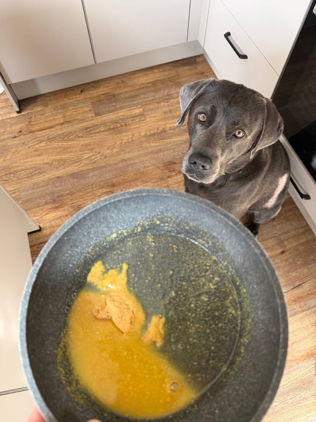 Customer photo review of Verdauungsmix für Hunde als Probiotikum für Magen- & Darmflora