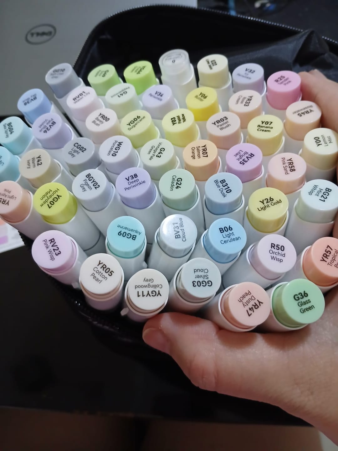 Customer photo review of Ohuhu Honolulu New 48 Pastel Colors Dual Tips Alcohol Art Markers - Blossoming (New Color Codes)