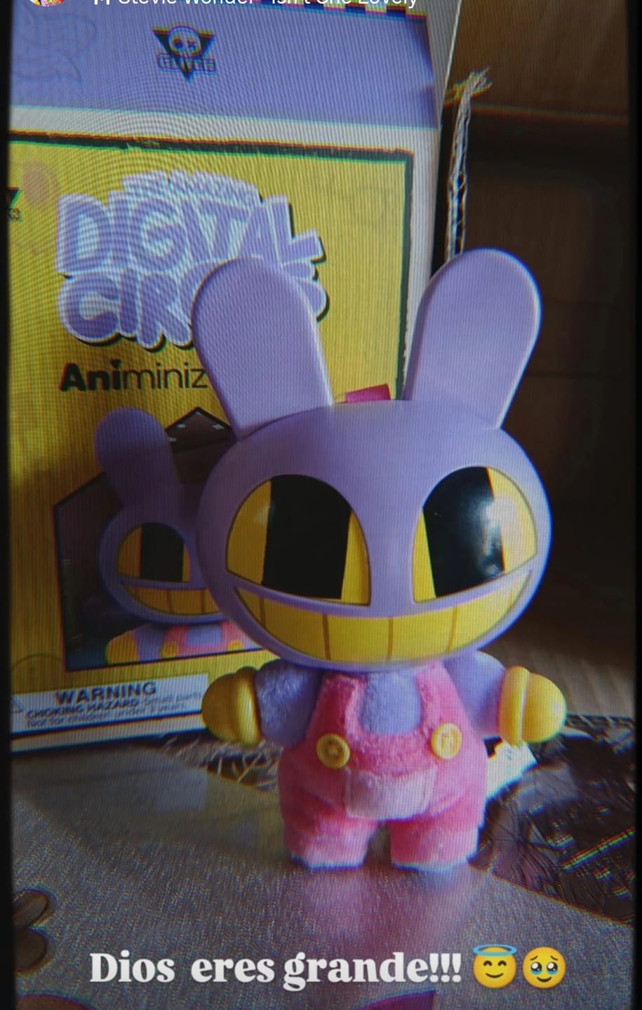 Customer photo review of Jax Pendantz Blindbox