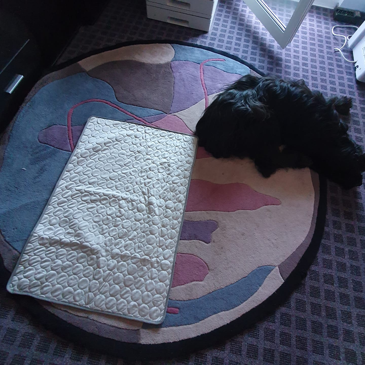 Customer photo review of TruePet Kühlmatte für Hunde & Katzen | Selbstkühlend ohne Strom | XS bis 2XL