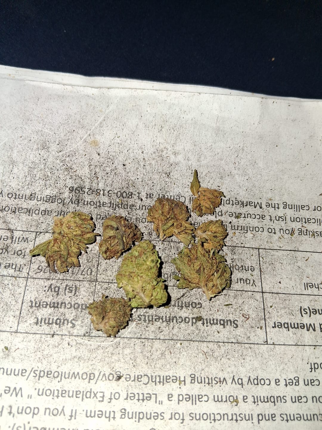 Customer photo review of Green Crack - 28 Grams - Sativa