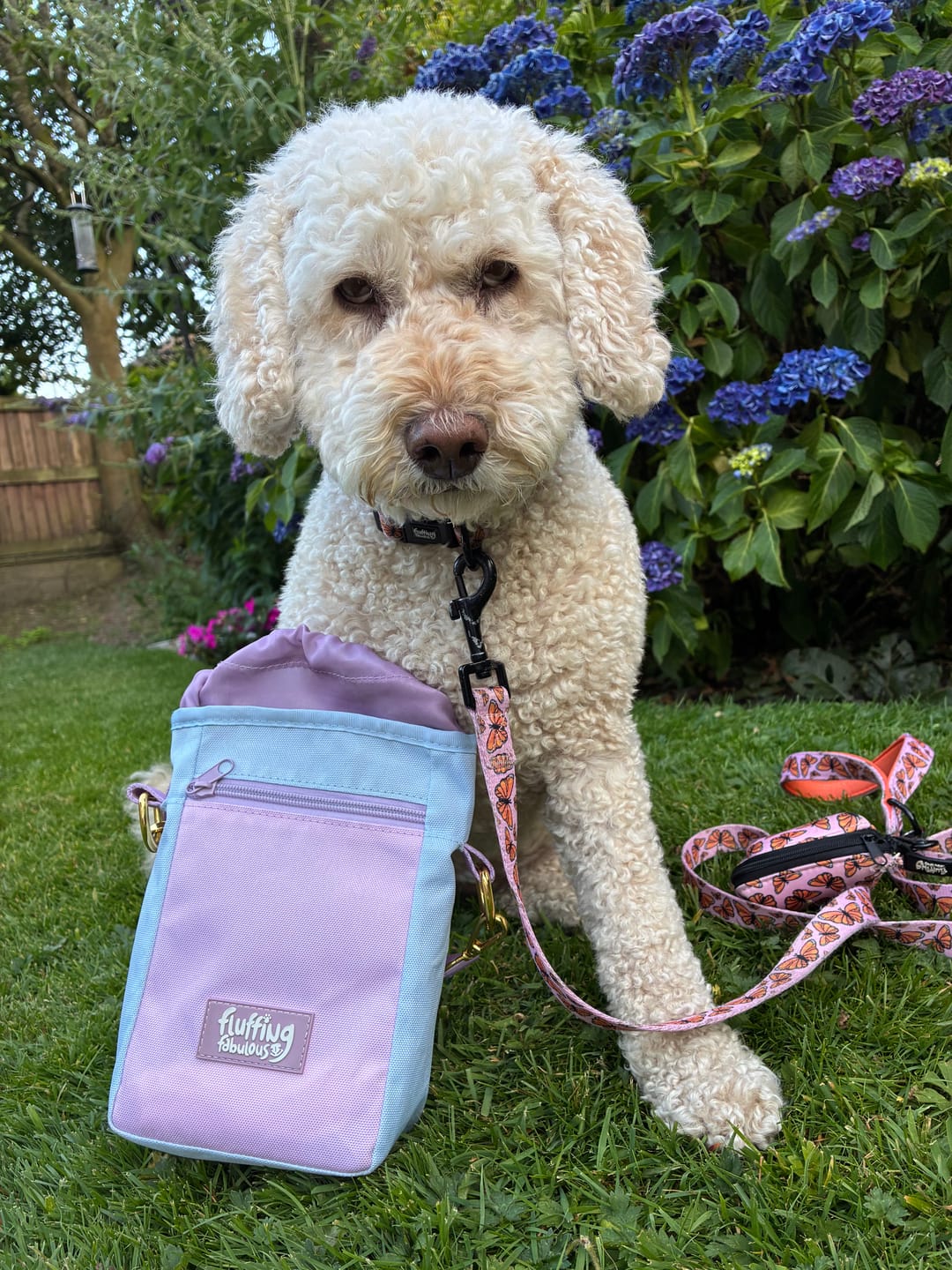 Customer photo review of Treat Pouch