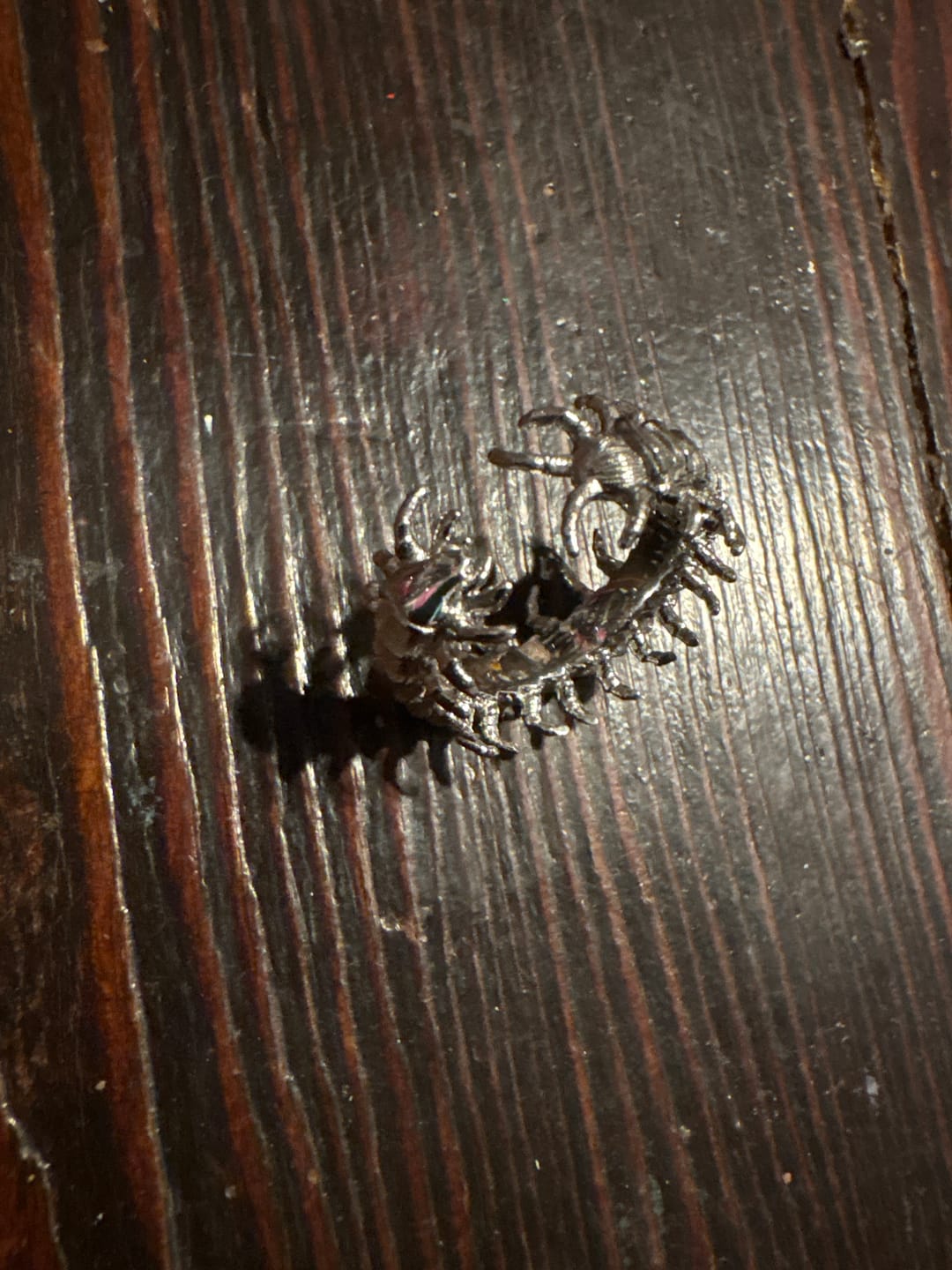 Customer photo review of CENTIPEDE RING