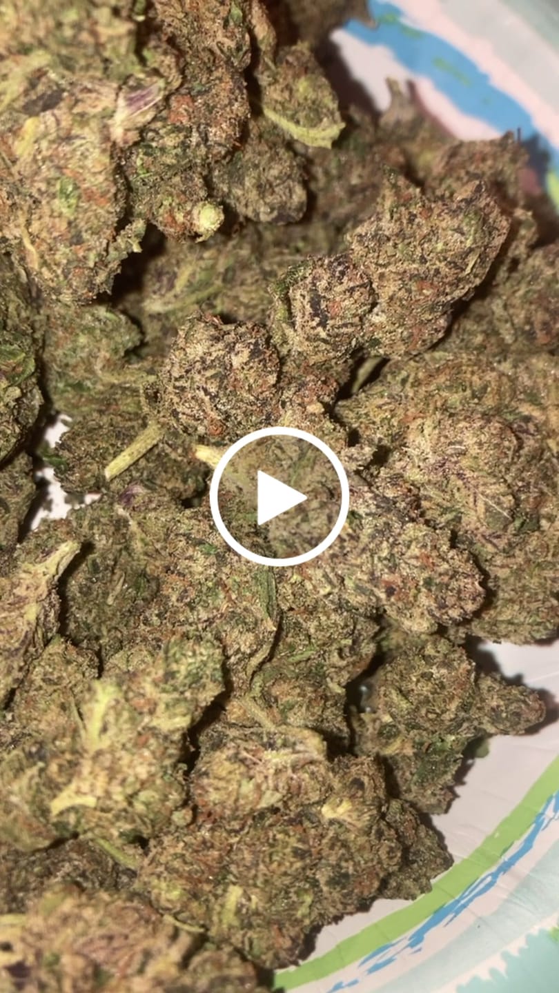 Customer video review of White Nerds - Bulk - Hybrid