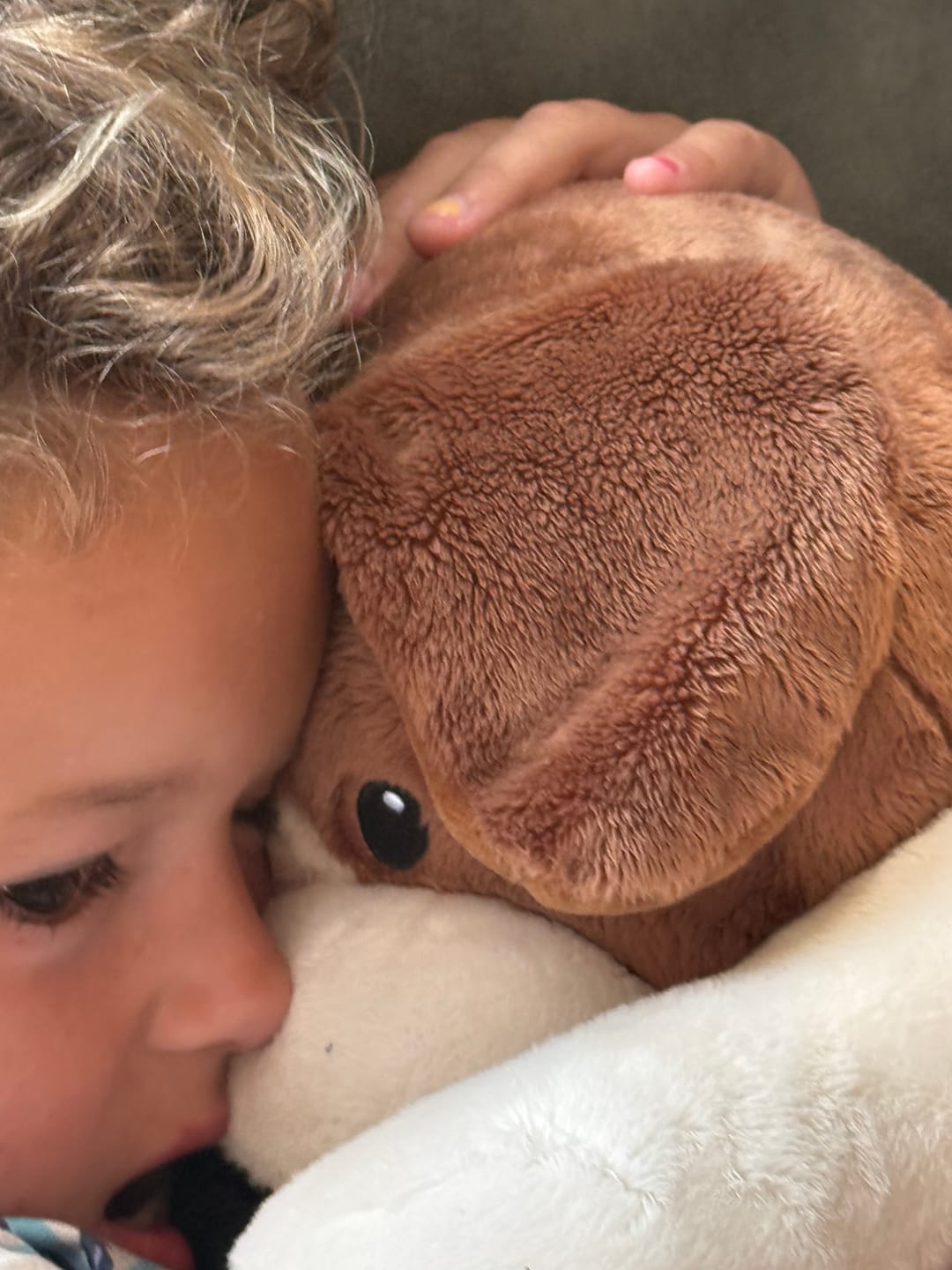Customer photo review of Lotgenootje Hond 2kg