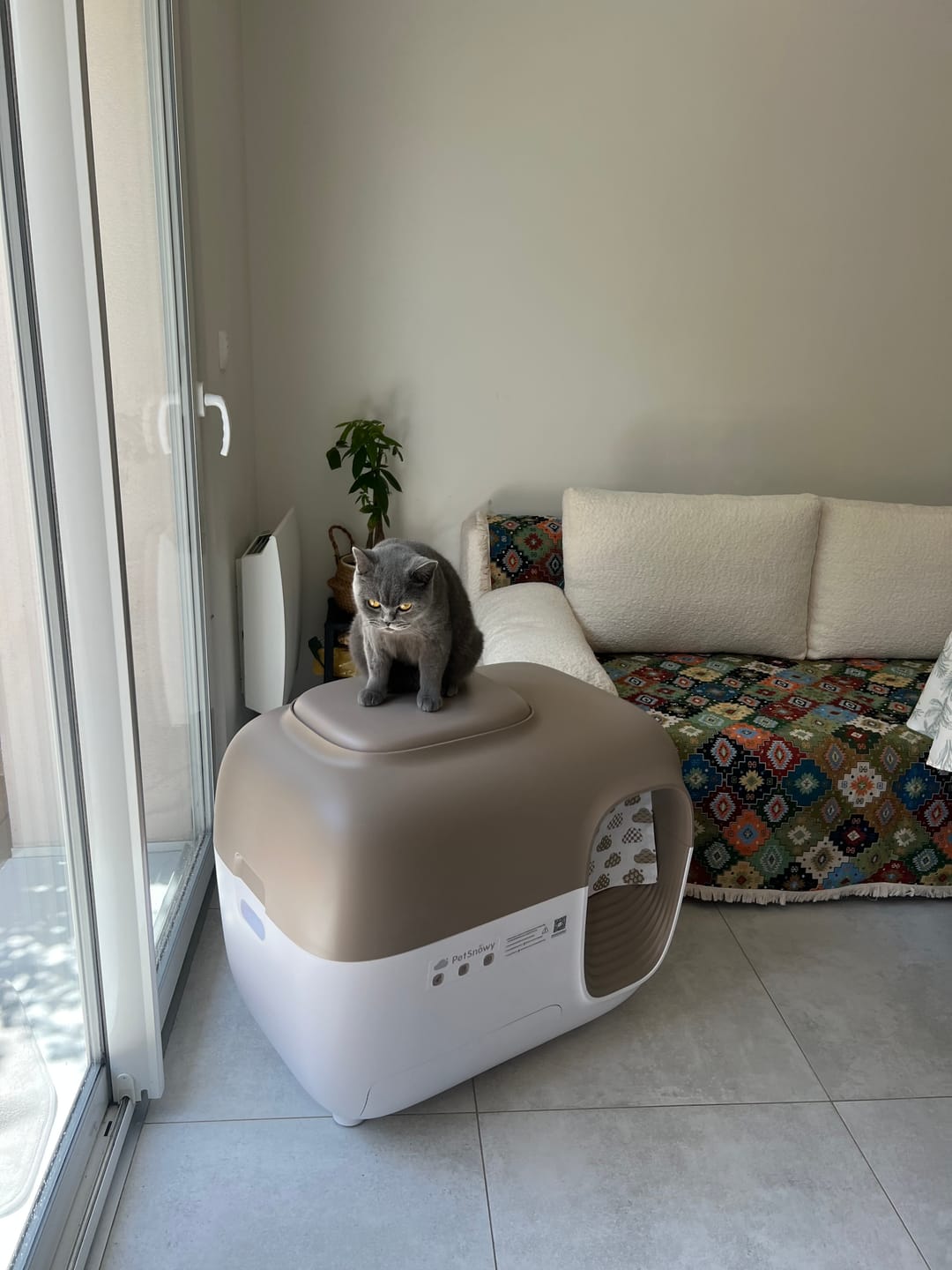 Customer photo review of Self-Cleaning Litter Box