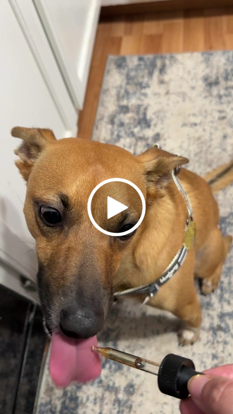 Customer video review of Lolahemp Calming Drops