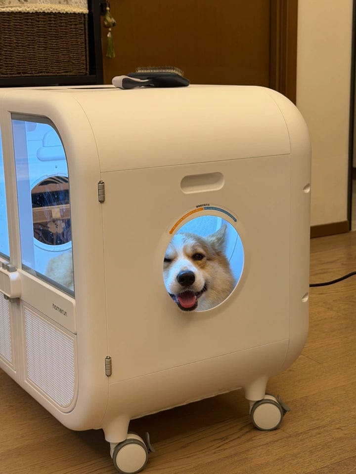 Customer photo review of homerunPET 「Drybo Ultra」ペットドライヤーハウス（7月下旬発送）